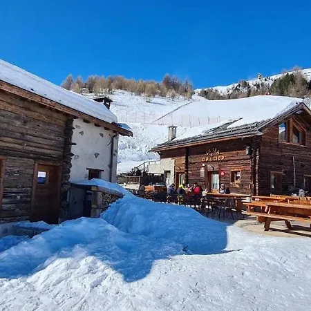 Mountain Scoiattolo By Chalet