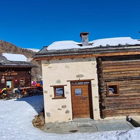 Mountain Scoiattolo By Chalet