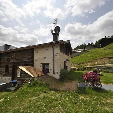 Mountain Scoiattolo By