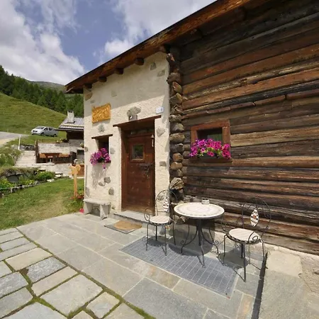 Mountain Scoiattolo By * Livigno