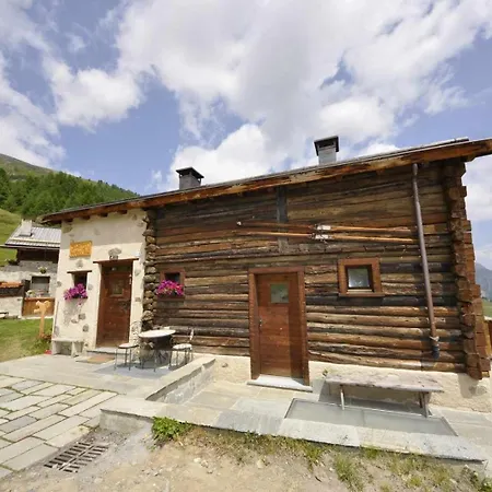 Mountain Scoiattolo By *